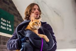 Szenenfoto: Bob, der Streuner