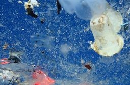 Szenenfoto: A PLASTIC OCEAN