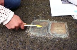 Stolpersteine in Zittau